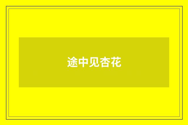 途中见杏花