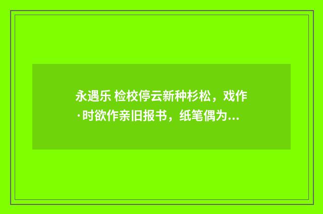 永遇乐 检校停云新种杉松，戏作·时欲作亲旧报书，纸笔偶为大风吹去，末章因及之