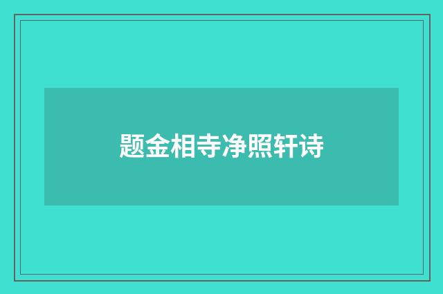 题金相寺净照轩诗