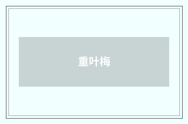 重叶梅