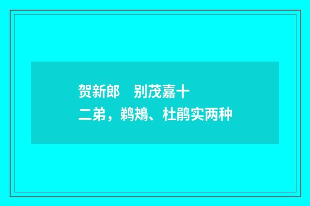 贺新郎 别茂嘉十二弟，鹈鴂、杜鹃实两种
