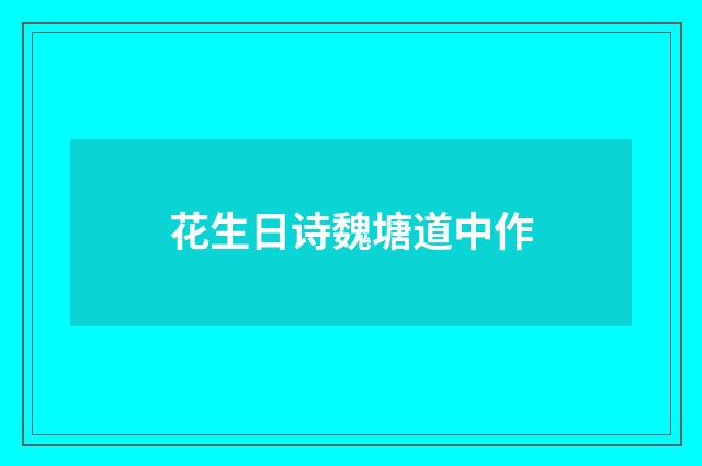 花生日诗魏塘道中作
