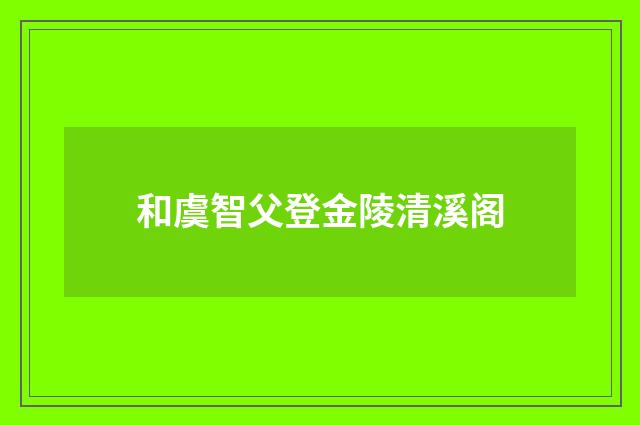 和虞智父登金陵清溪阁