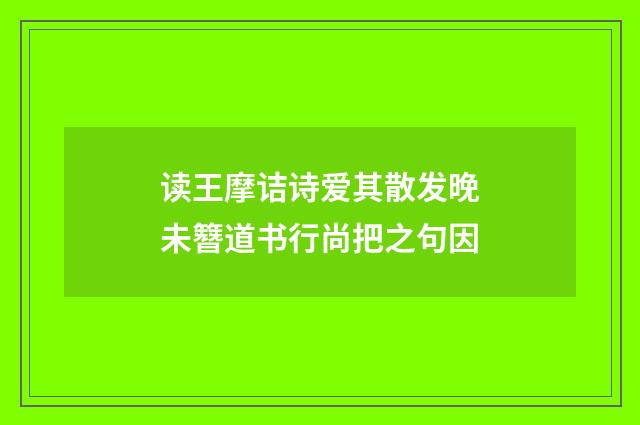 读王摩诘诗爱其散发晚未簪道书行尚把之句因