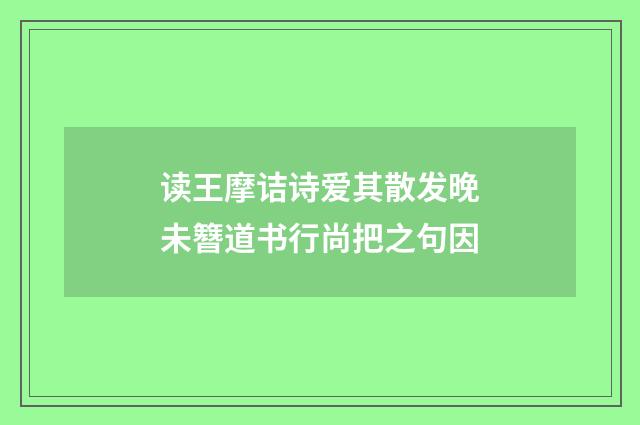 读王摩诘诗爱其散发晚未簪道书行尚把之句因