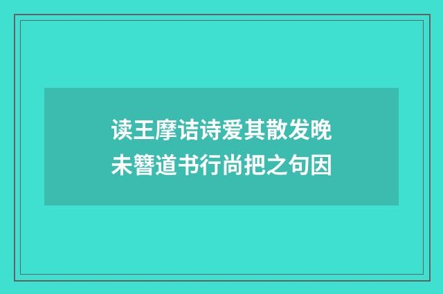 读王摩诘诗爱其散发晚未簪道书行尚把之句因