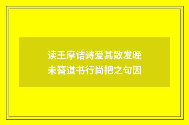 读王摩诘诗爱其散发晚未簪道书行尚把之句因