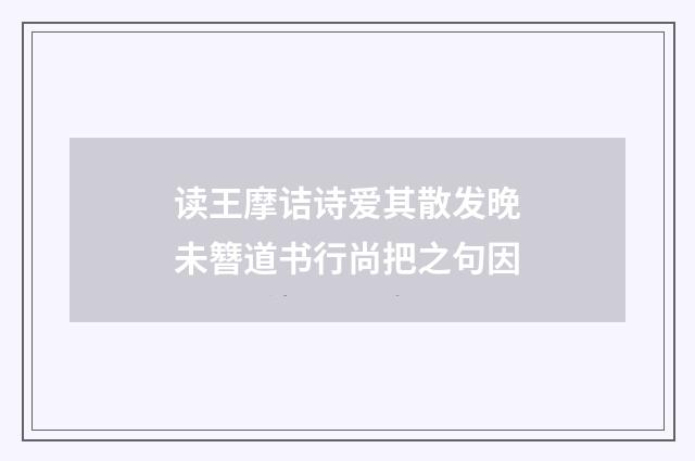 读王摩诘诗爱其散发晚未簪道书行尚把之句因