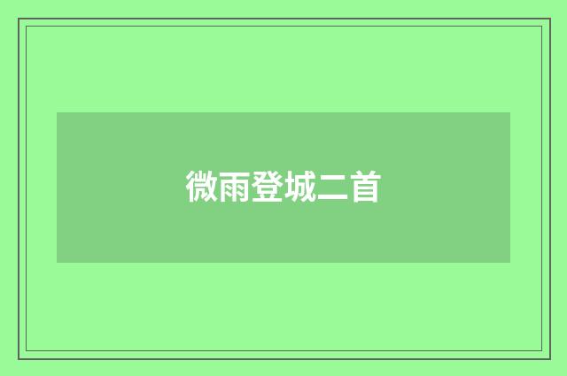 微雨登城二首