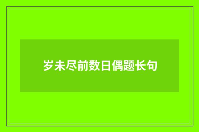 岁未尽前数日偶题长句