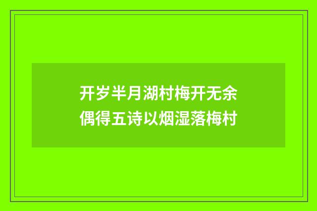 开岁半月湖村梅开无余偶得五诗以烟湿落梅村