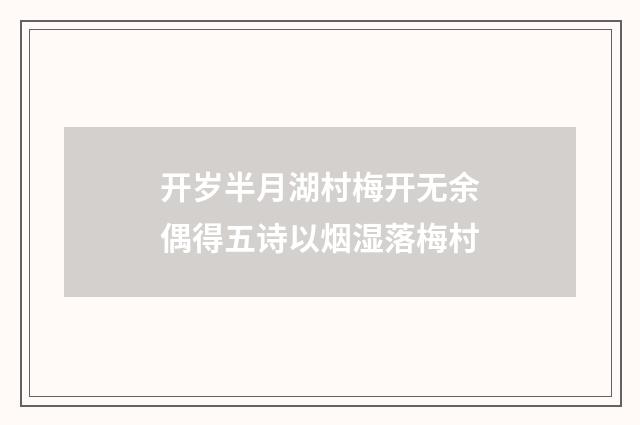 开岁半月湖村梅开无余偶得五诗以烟湿落梅村