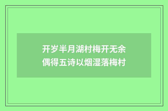 开岁半月湖村梅开无余偶得五诗以烟湿落梅村