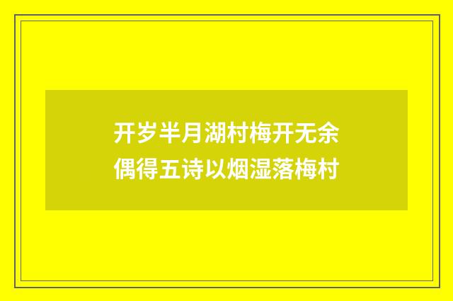开岁半月湖村梅开无余偶得五诗以烟湿落梅村