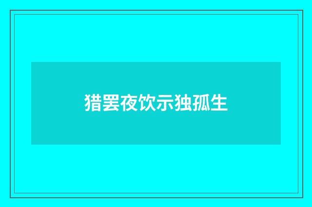 猎罢夜饮示独孤生