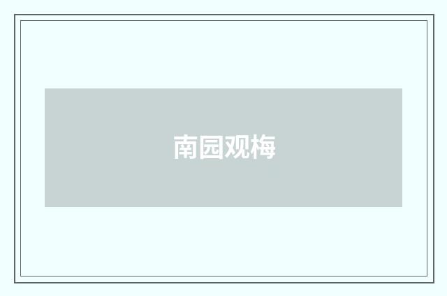 南园观梅