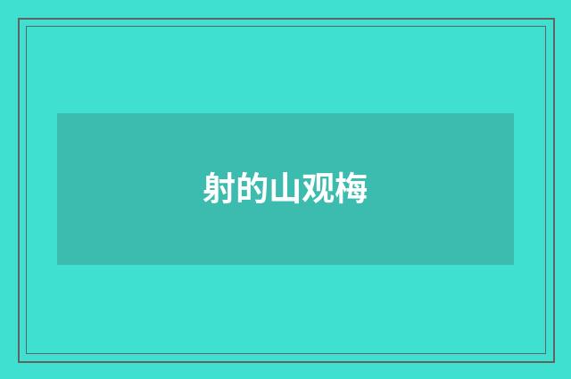射的山观梅