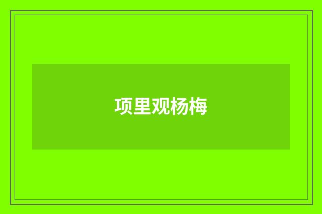 项里观杨梅