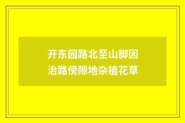 开东园路北至山脚因治路傍隙地杂植花草