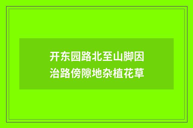 开东园路北至山脚因治路傍隙地杂植花草