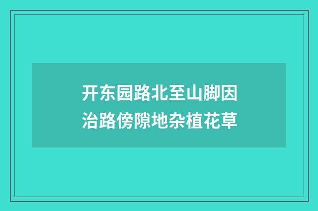 开东园路北至山脚因治路傍隙地杂植花草