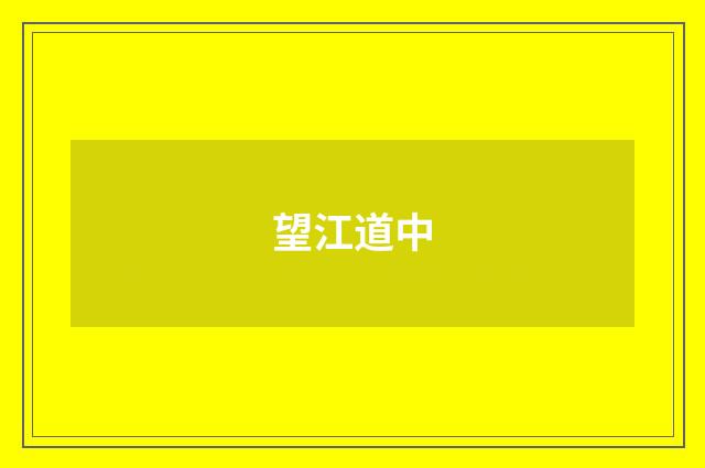 望江道中