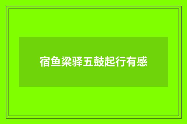 宿鱼梁驿五鼓起行有感