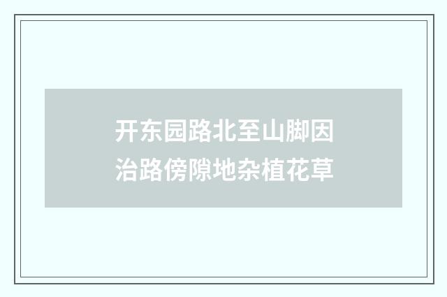 开东园路北至山脚因治路傍隙地杂植花草