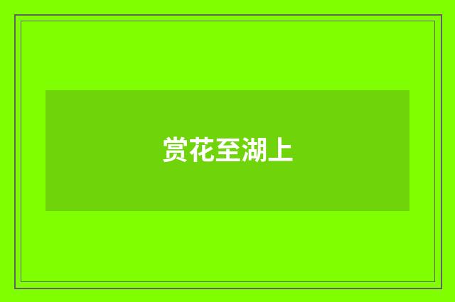 赏花至湖上