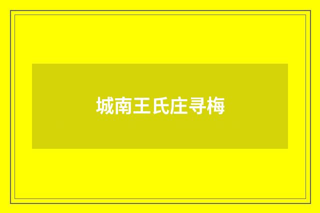 城南王氏庄寻梅