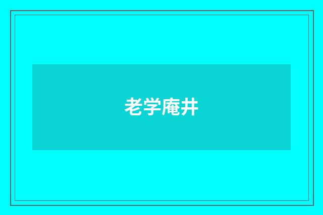 老学庵井