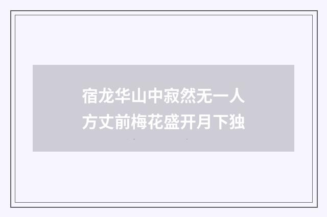 宿龙华山中寂然无一人方丈前梅花盛开月下独