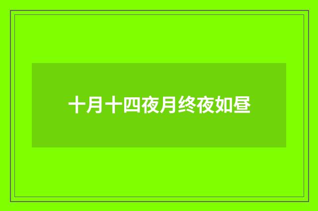 十月十四夜月终夜如昼