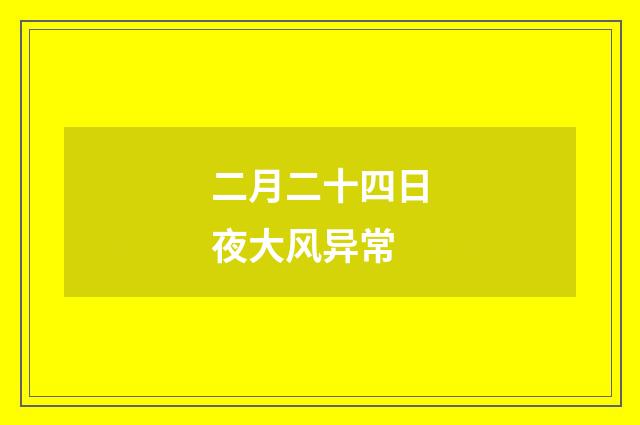 二月二十四日夜大风异常