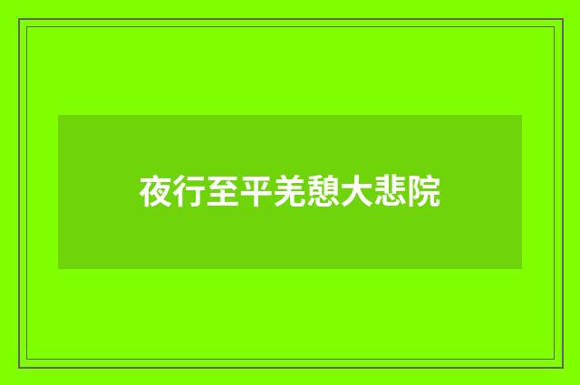 夜行至平羌憩大悲院