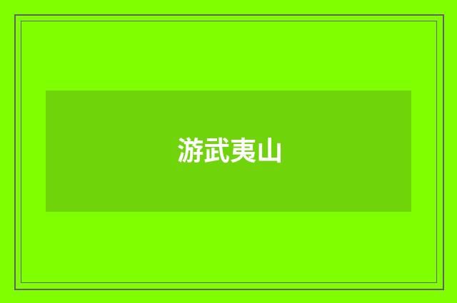 游武夷山