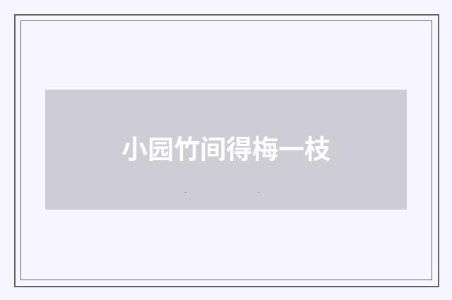 小园竹间得梅一枝