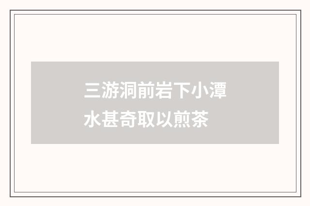 三游洞前岩下小潭水甚奇取以煎茶
