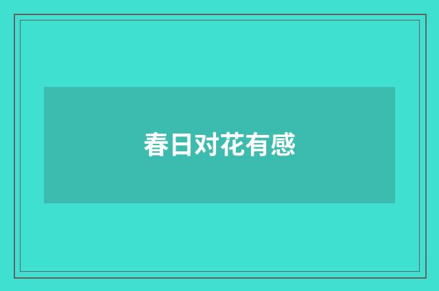 春日对花有感