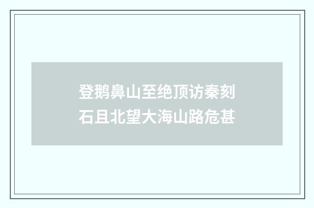 登鹅鼻山至绝顶访秦刻石且北望大海山路危甚