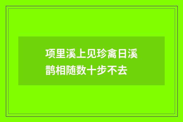 项里溪上见珍禽日溪鹊相随数十步不去
