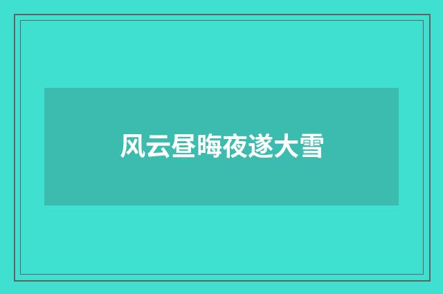 风云昼晦夜遂大雪