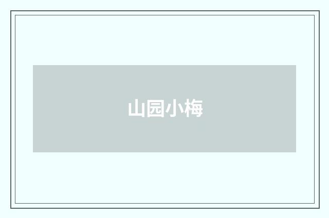 山园小梅