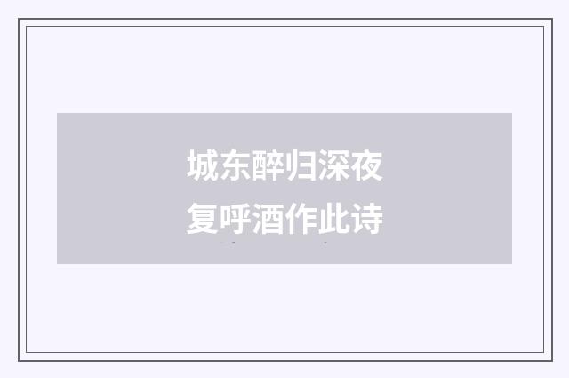 城东醉归深夜复呼酒作此诗