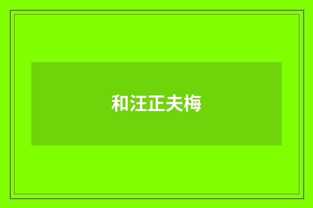 和汪正夫梅