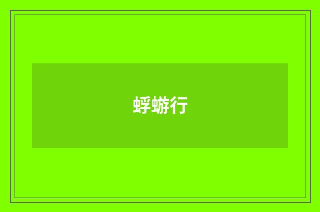 蜉蝣行