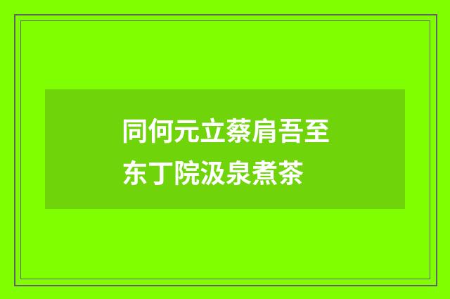 同何元立蔡肩吾至东丁院汲泉煮茶
