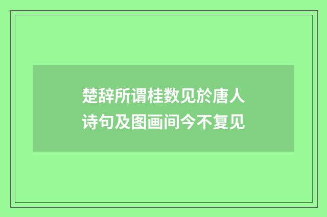 楚辞所谓桂数见於唐人诗句及图画间今不复见