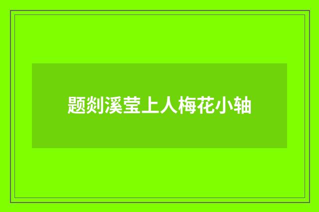 题剡溪莹上人梅花小轴