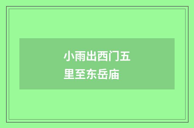 小雨出西门五里至东岳庙